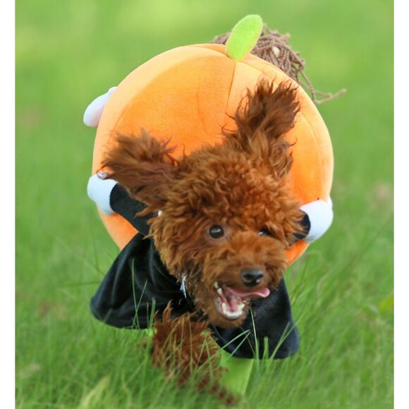 Dog Cat Halloween Costume Premium Pumpkin Funny Costume Small Breed Sz M - Picture 8 of 10